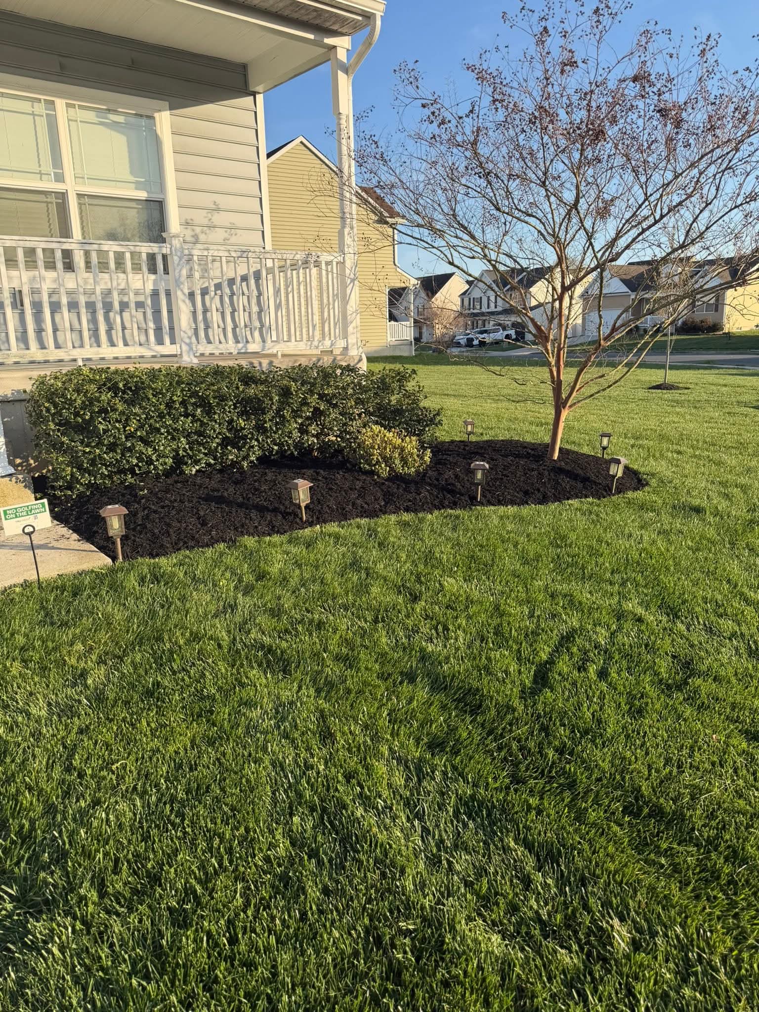 Landscape Design