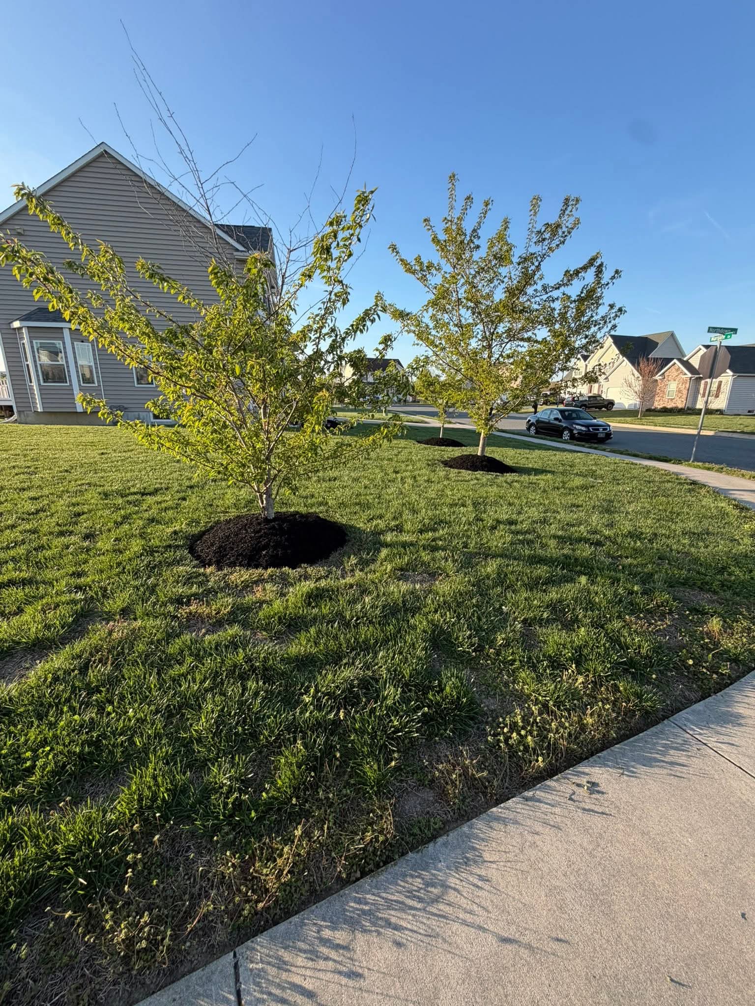 Hardscapes
