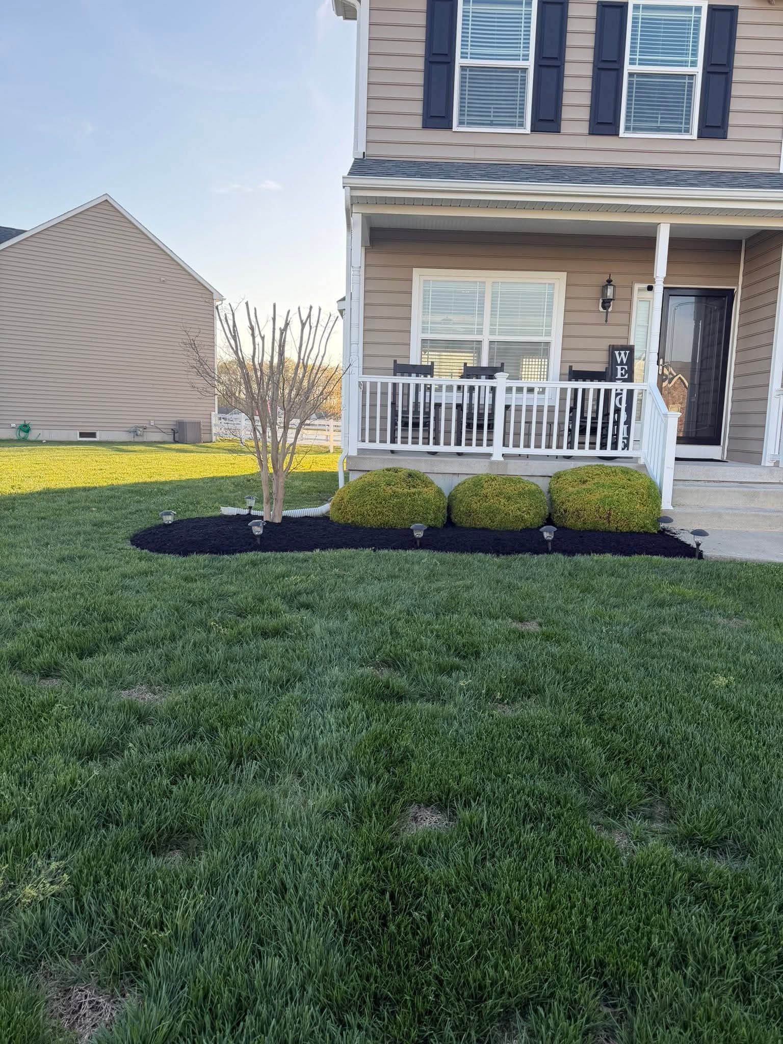 Lawn Care