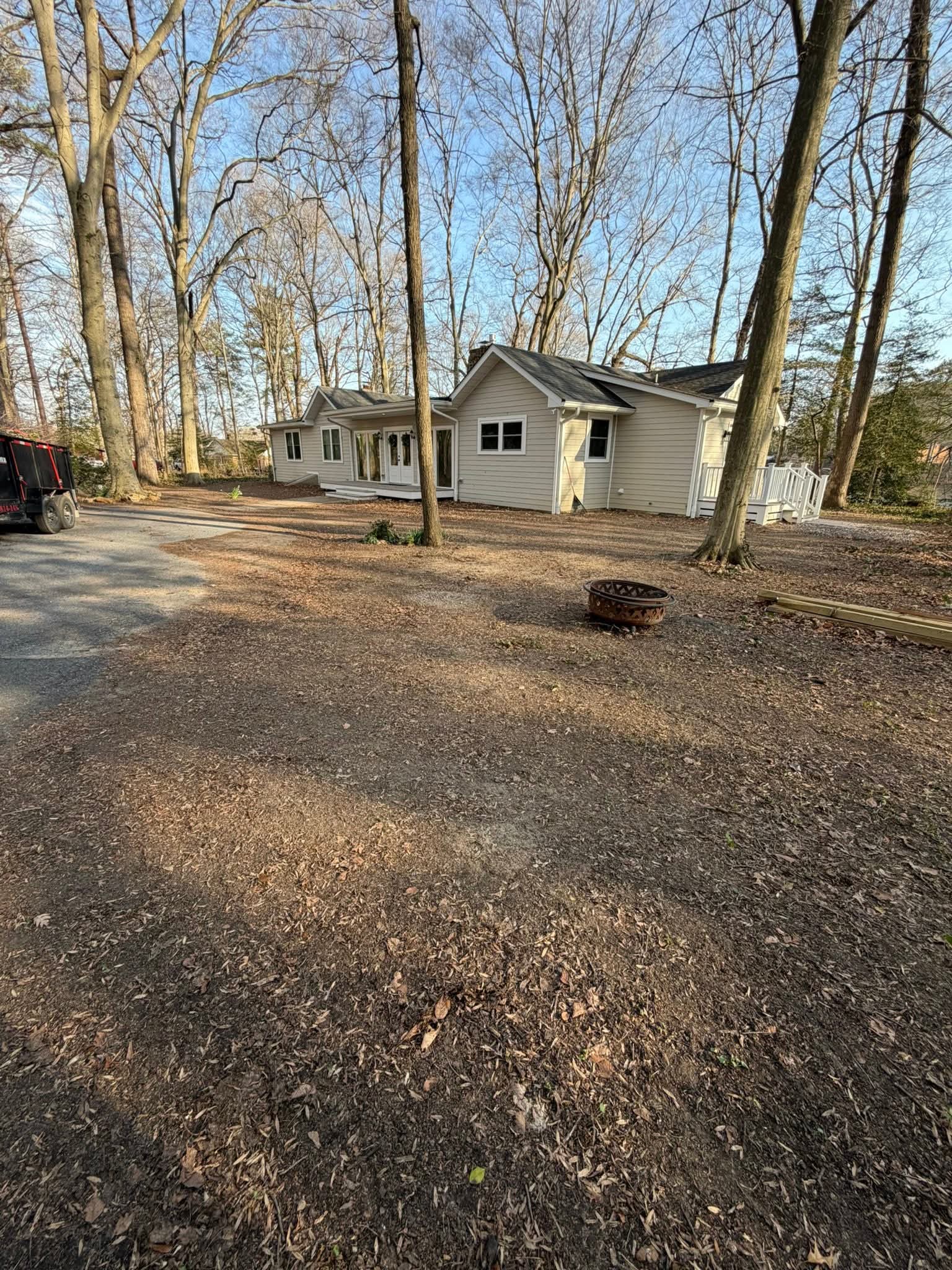 Tree Removal